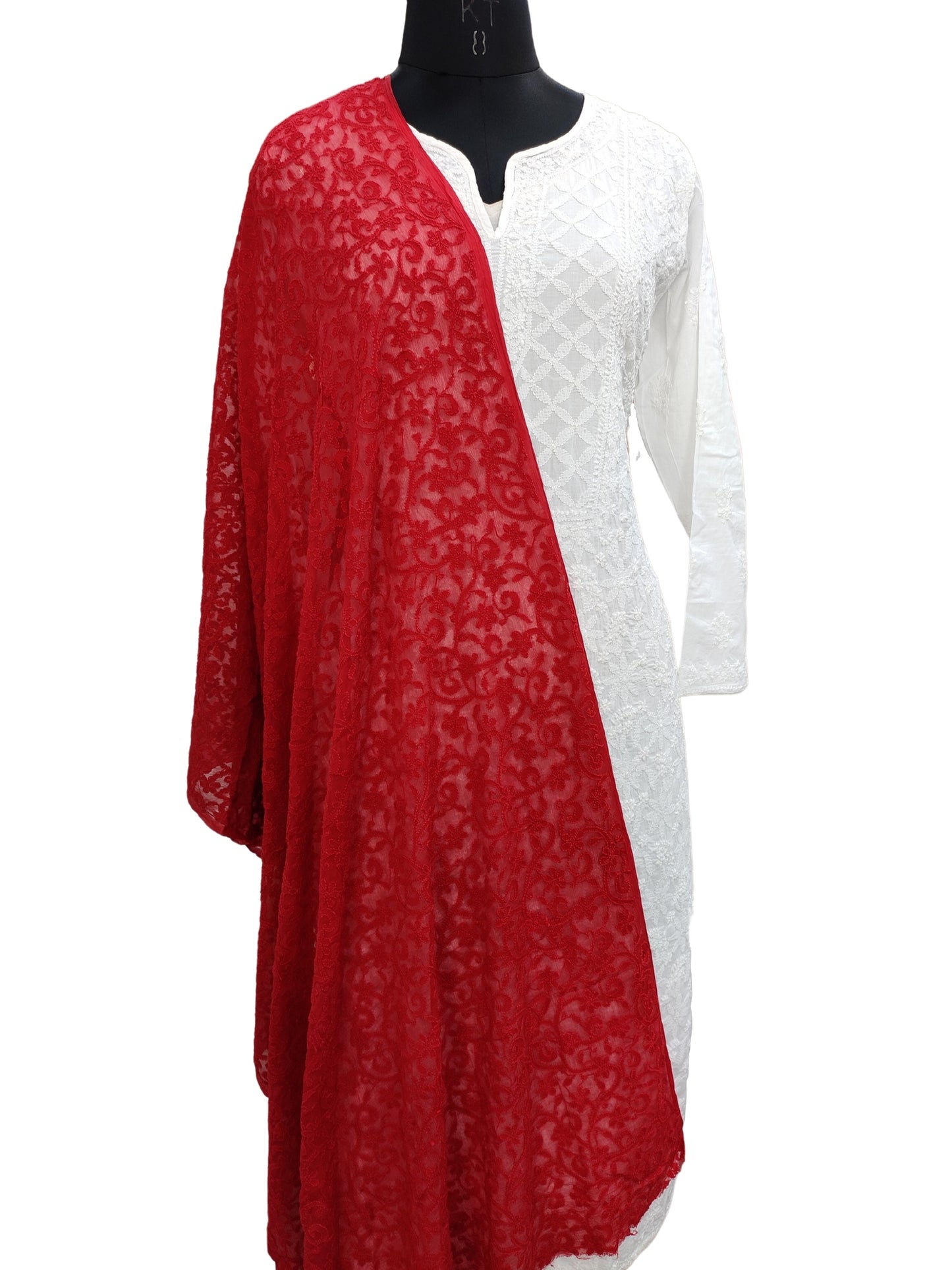 Shyamal Chikan All Over Hand Embroidered Red Pure Chiffon Lucknowi Dupatta- S20108