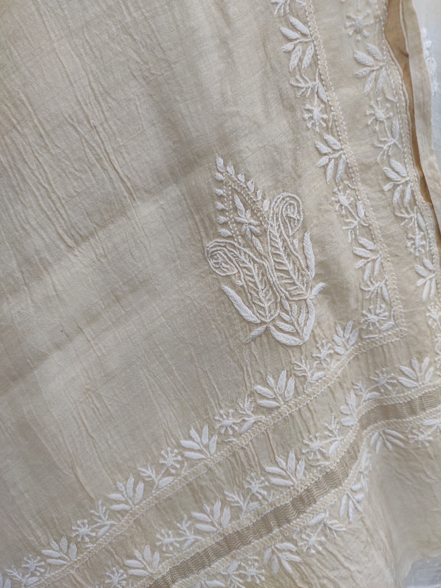 Shyamal Chikan Hand Embroidered Beige Monga Silk Lucknowi Chikankari Dupatta - S23196