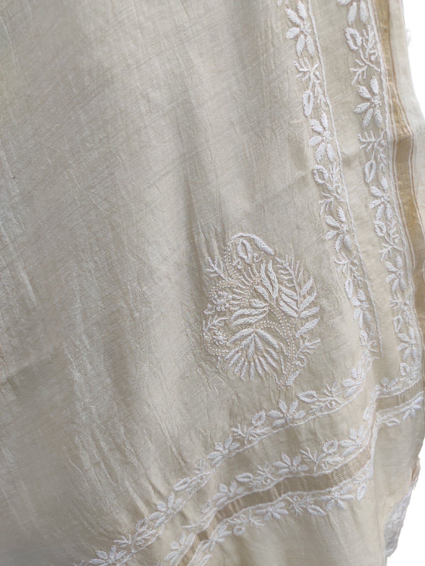 Shyamal Chikan Hand Embroidered Beige Monga Silk Lucknowi Chikankari Dupatta - S23194