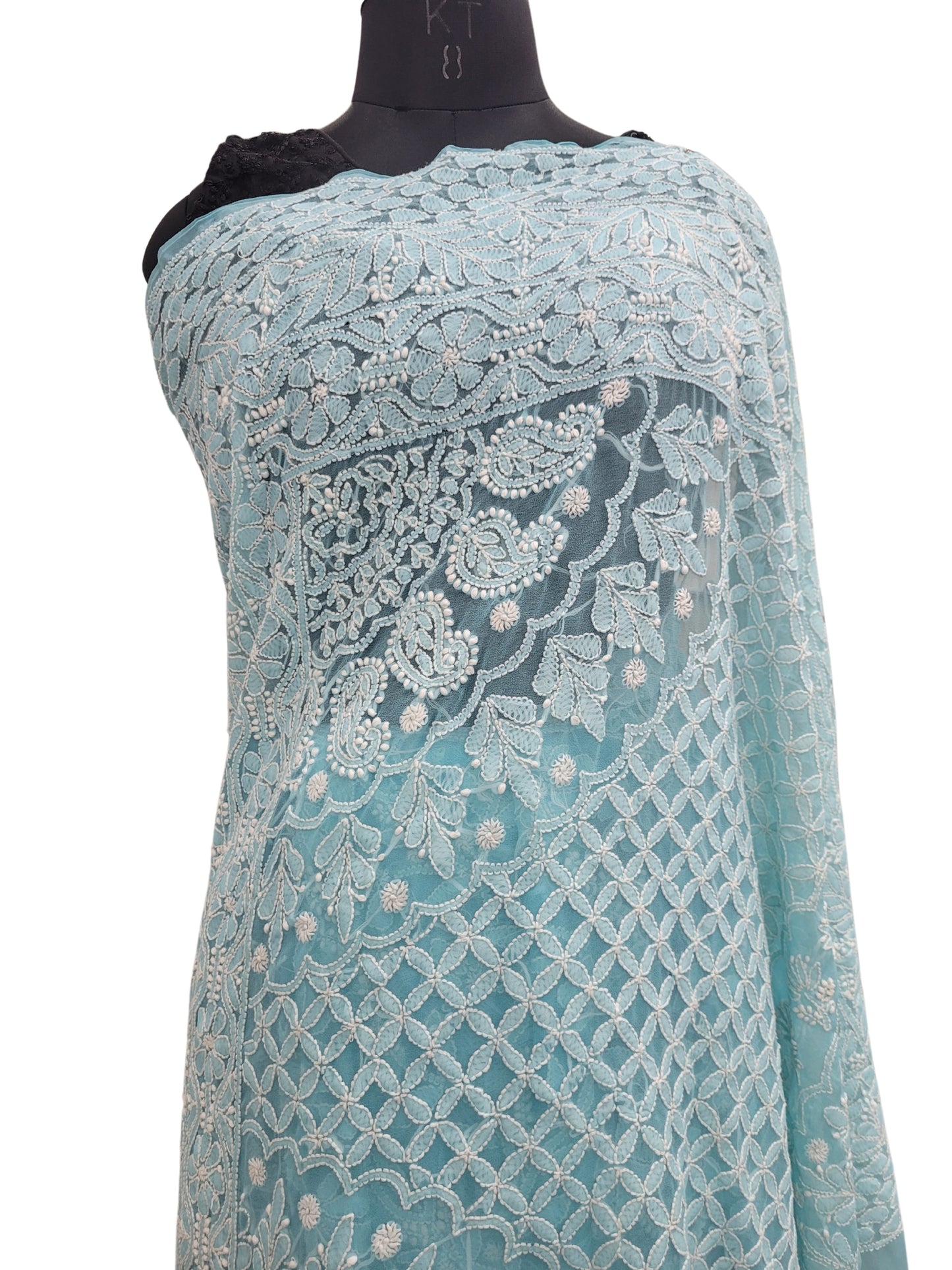 Shyamal Chikan Hand Embroidered Blue Georgette Lucknowi Chikankari Full Jaal Saree With Blouse Piece - S25199