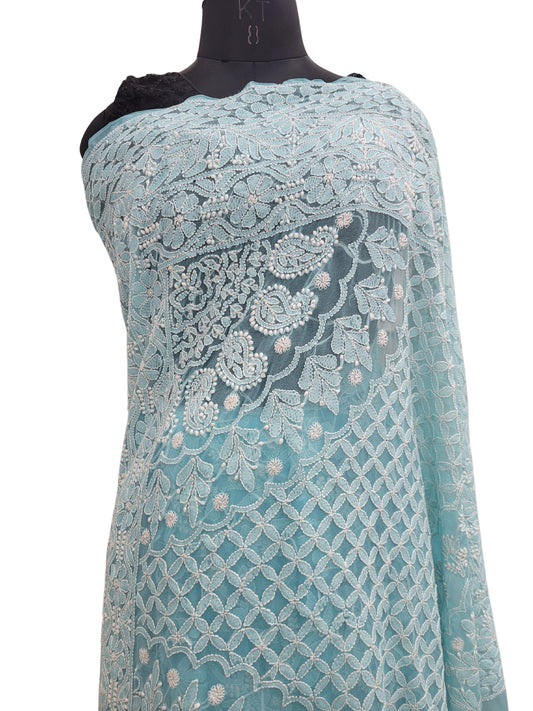 Shyamal Chikan Hand Embroidered Blue Georgette Lucknowi Chikankari Full Jaal Saree With Blouse Piece - S25199