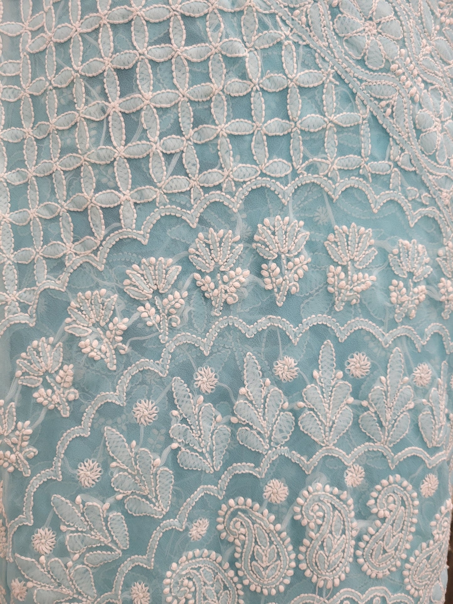 Shyamal Chikan Hand Embroidered Blue Georgette Lucknowi Chikankari Full Jaal Saree With Blouse Piece - S25199