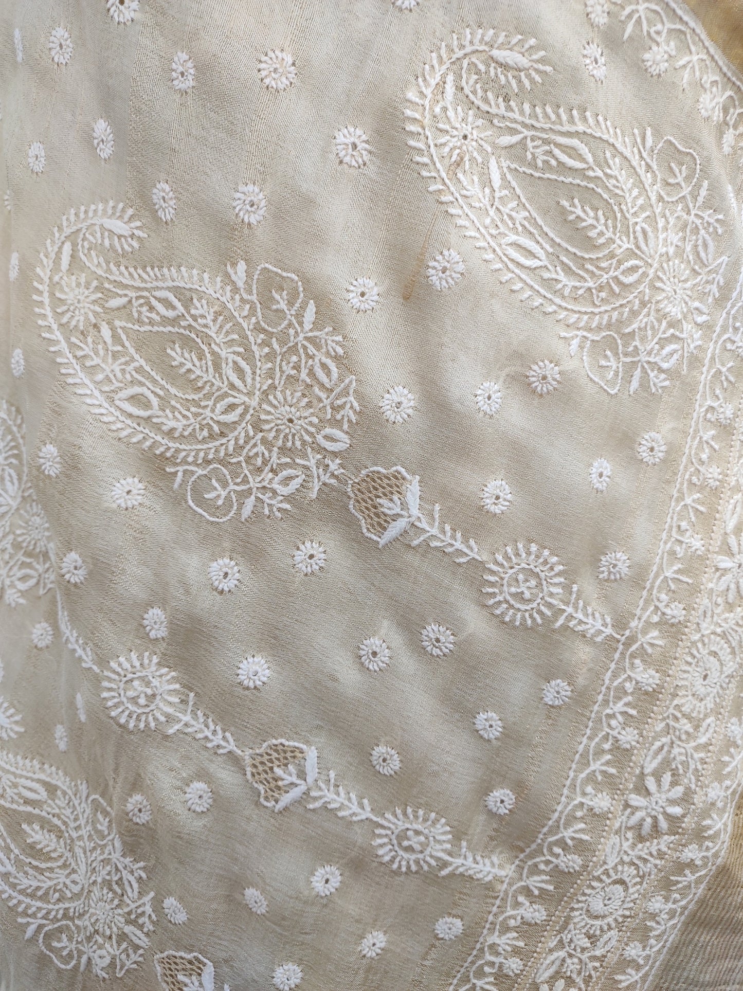 Shyamal Chikan Hand Embroidered Beige Pure Desi Tusser Silk Lucknowi Chikankari Saree With Blouse Piece- S21491