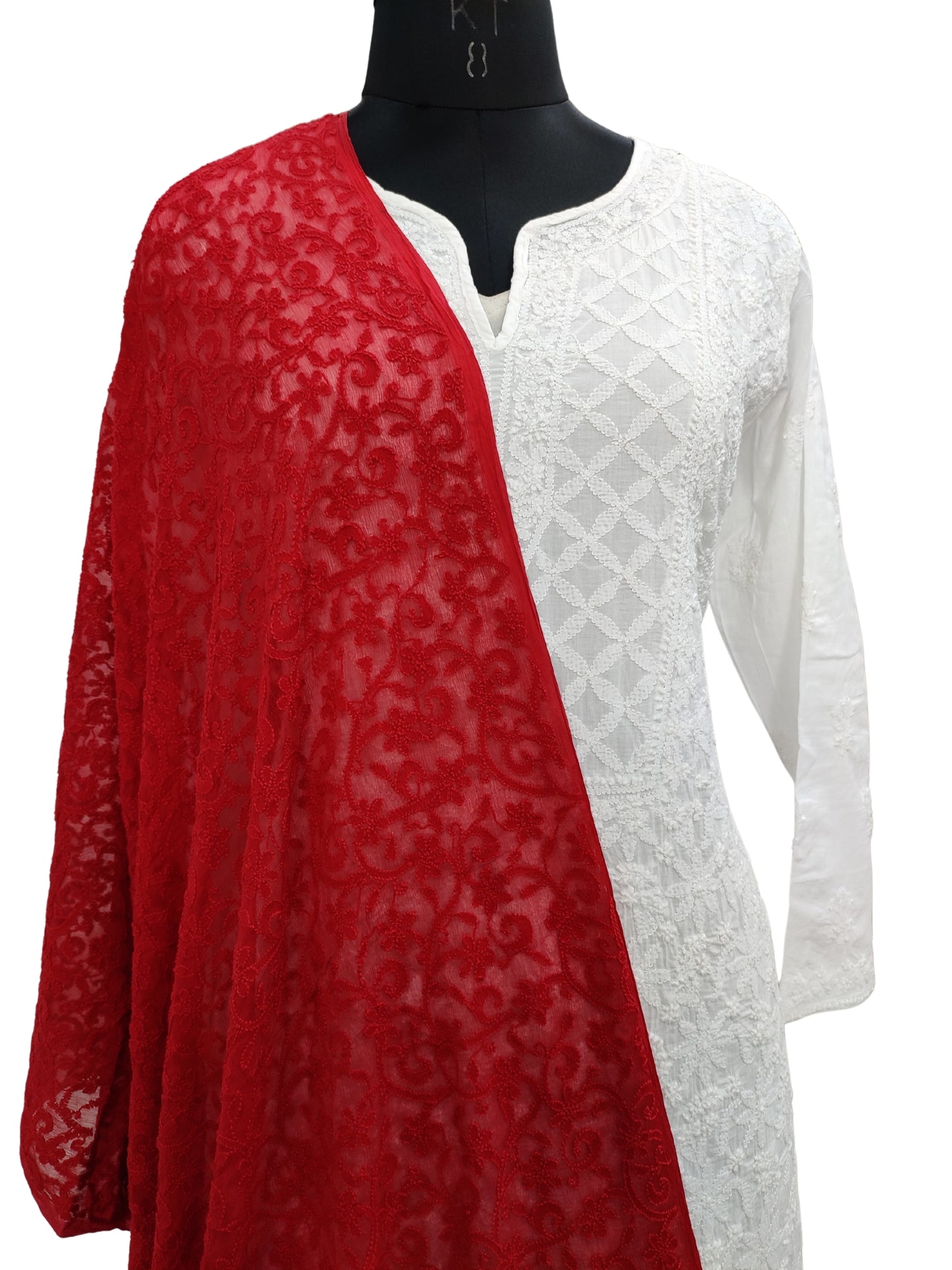 Shyamal Chikan All Over Hand Embroidered Red Pure Chiffon Lucknowi Dupatta- S20108