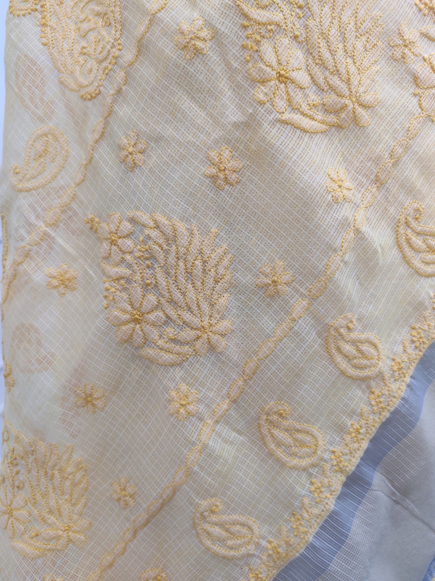 Shyamal Chikan Hand Embroidered Yellow Banarasi Lucknowi Chikankari Saree With Blouse Piece- S22888