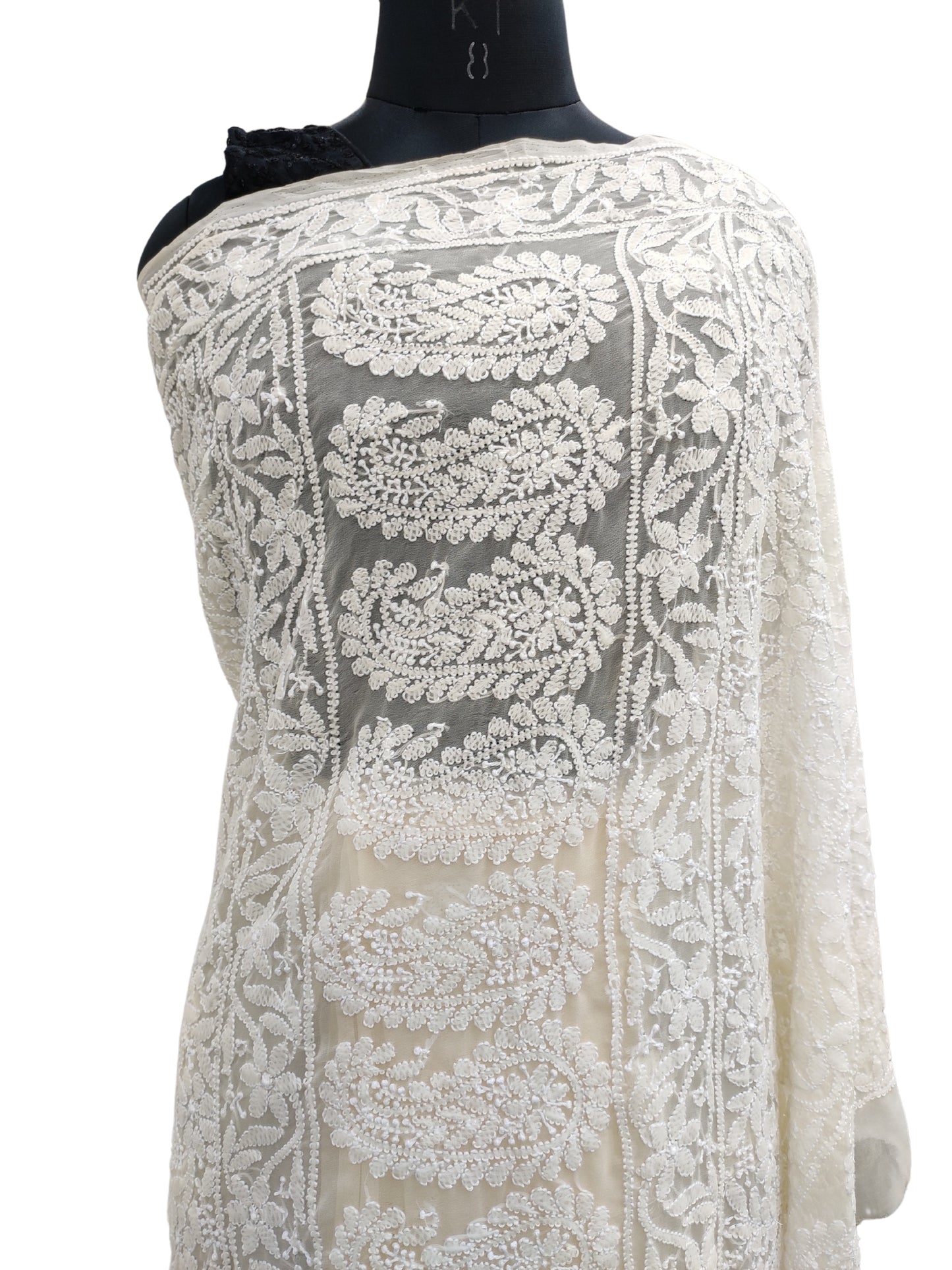 Shyamal Chikan Hand Embroidered Beige Georgette Lucknowi Chikankari Skirt Saree With Blouse Piece - S21932