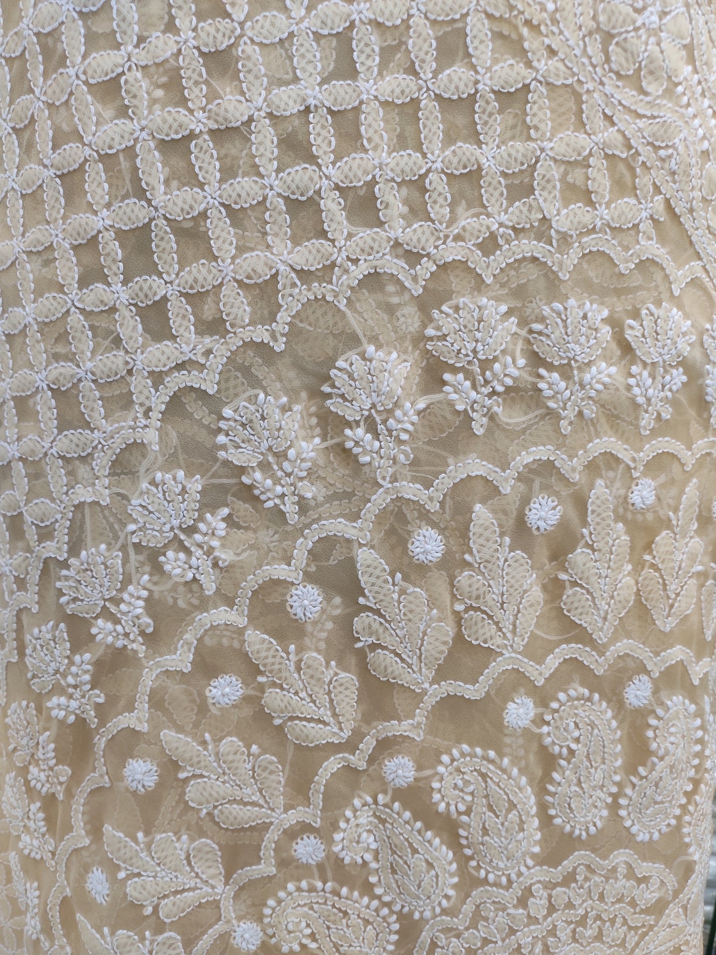 Shyamal Chikan Hand Embroidered Beige Georgette Lucknowi Chikankari Full Jaal Saree With Blouse Piece - S23991