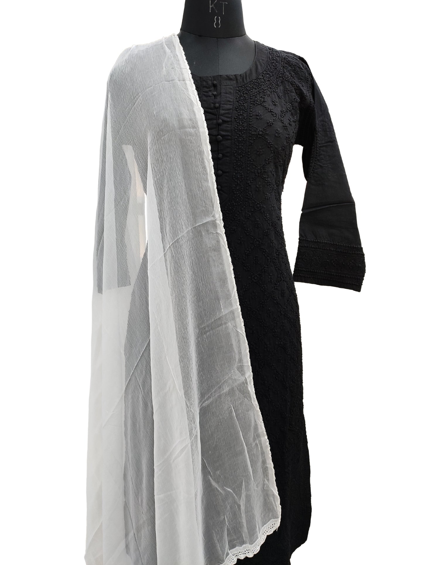 Shyamal Chikan Hand Embroidered White Pure Chiffon Lucknowi Dupatta - S8174