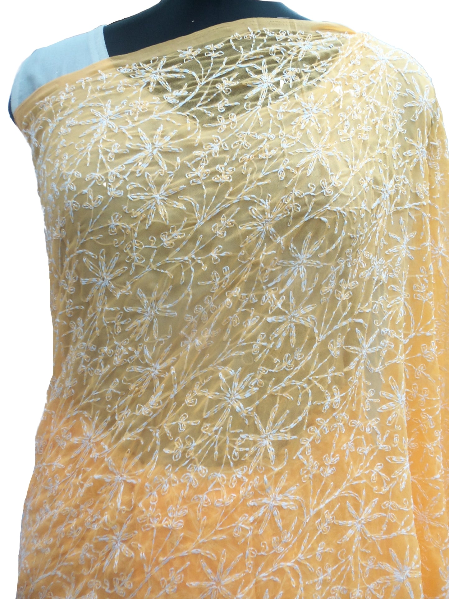 Shyamal Chikan Hand Embroidered Orange Georgette Lucknowi Chikankari All-Over Saree With Blouse Piece and Tepchi Work - S6950