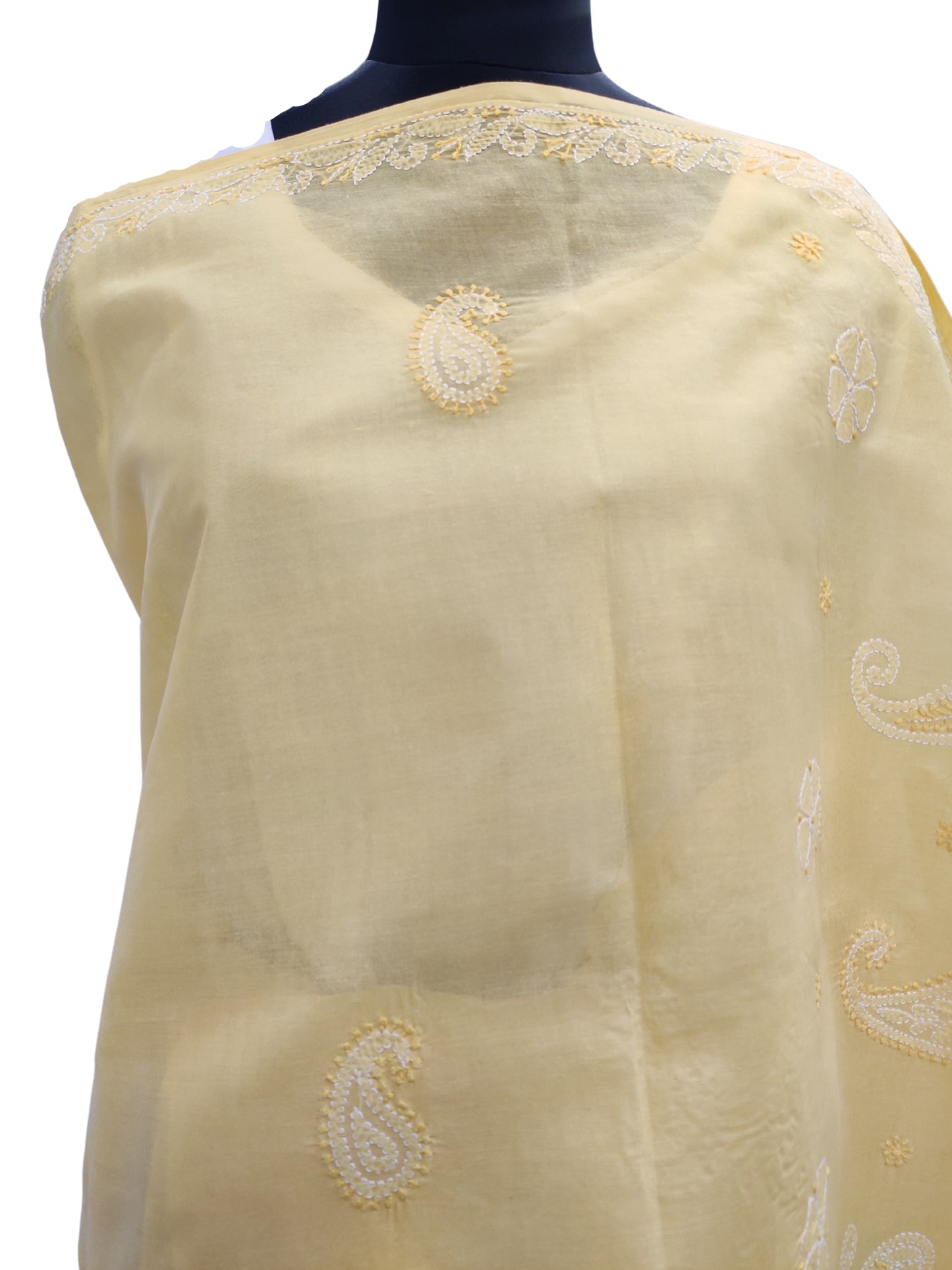 Shyamal Chikan Hand Embroidered Yellow Cotton Lucknowi Chikankari Saree With Blouse Piece- S825